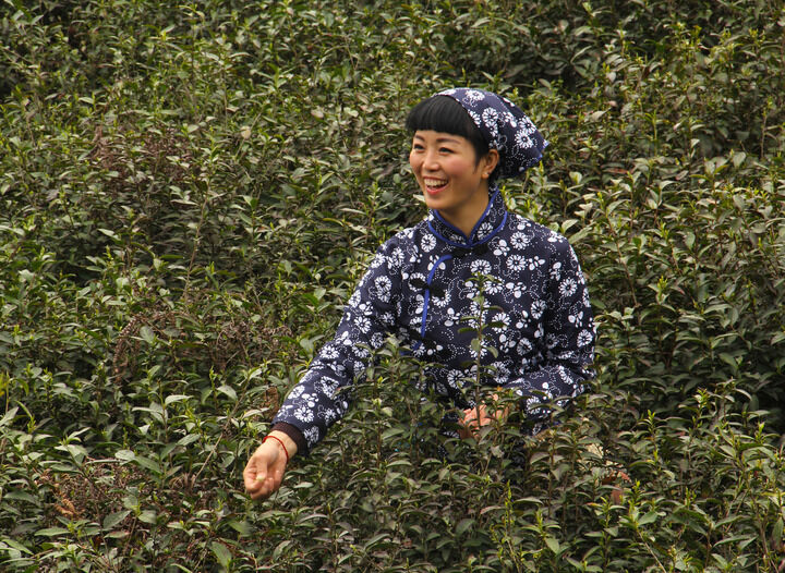 大片封面